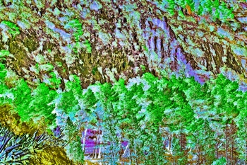 L 046B